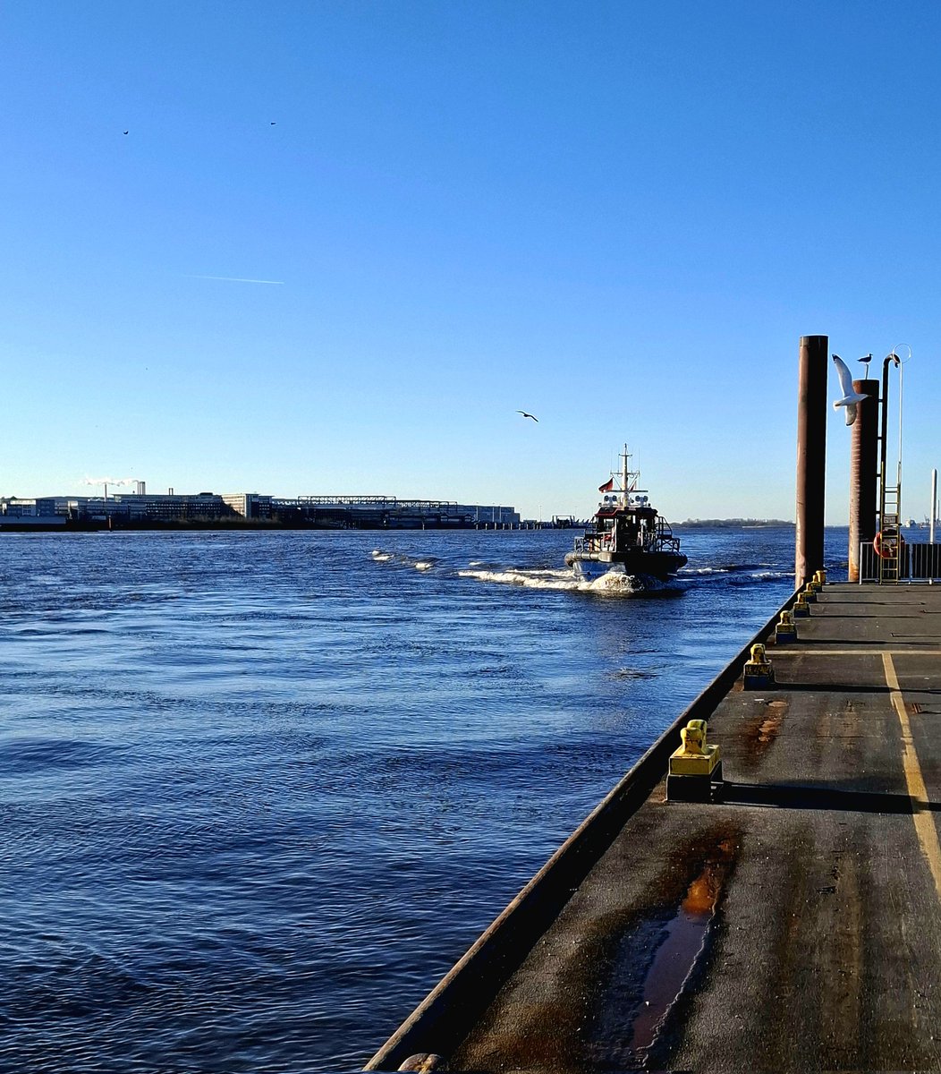 chriz31_07's tweet image. Share QP your favourite December Shots📸 

#Photography
#December #nature