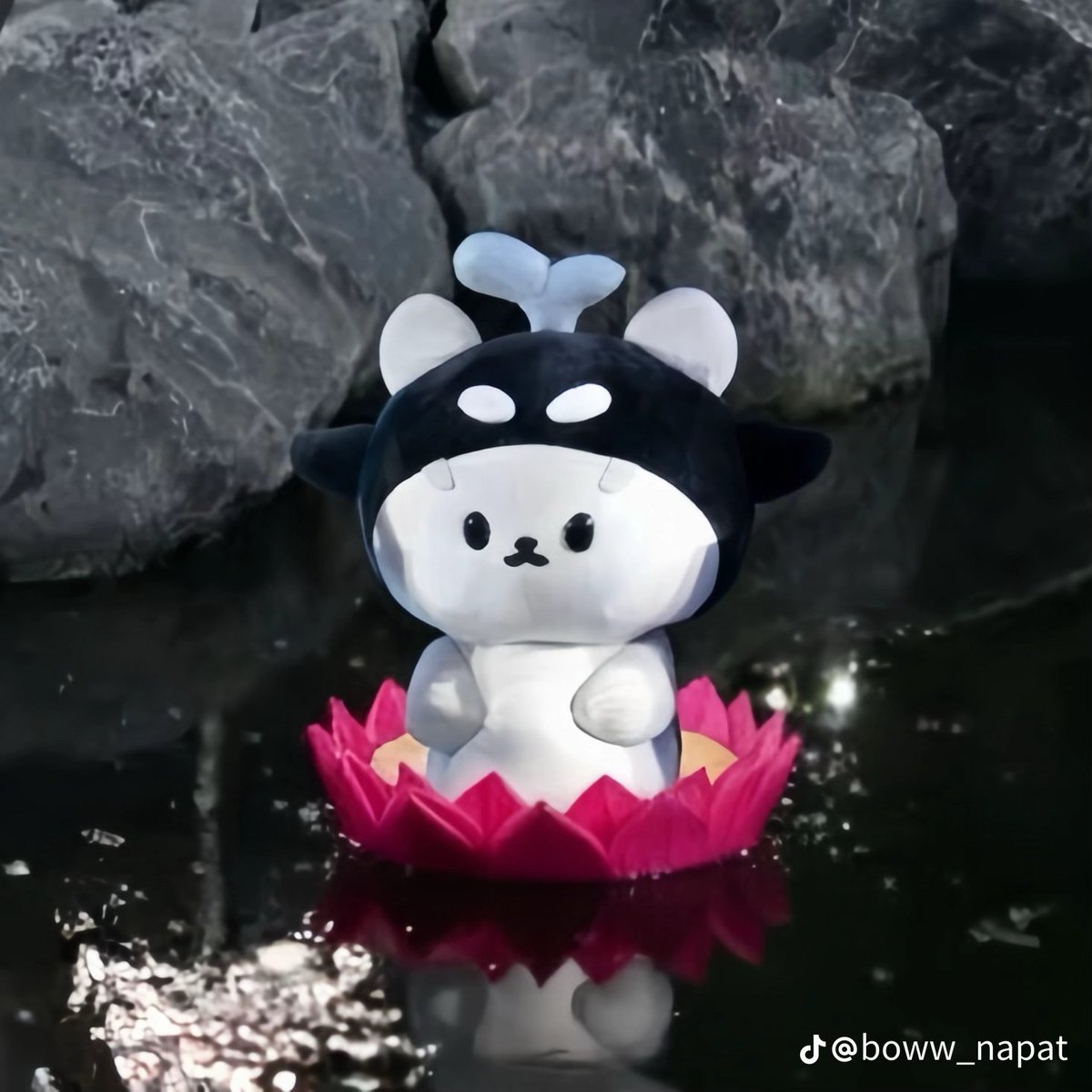 polca_diaries's tweet photo. เจอยัยซังลอยเป็นกระทงใน TikTok https://t.co/OQHj7tQMFs