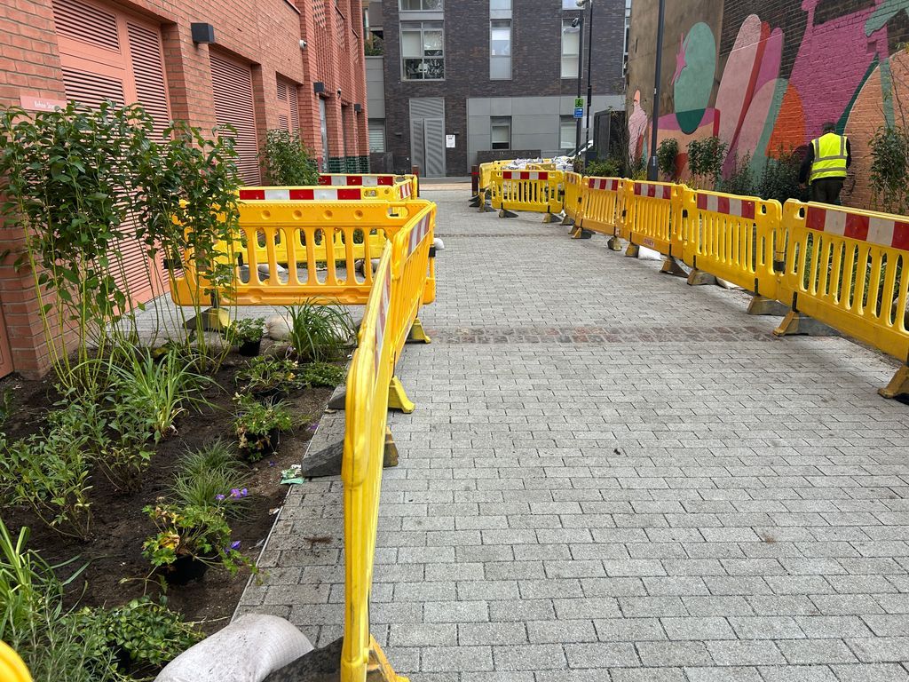 Meristem Design tweet media