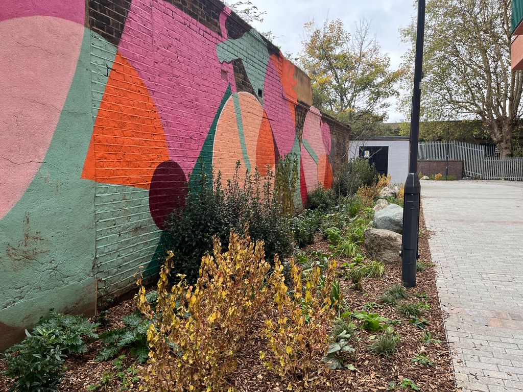 Meristem Design tweet media