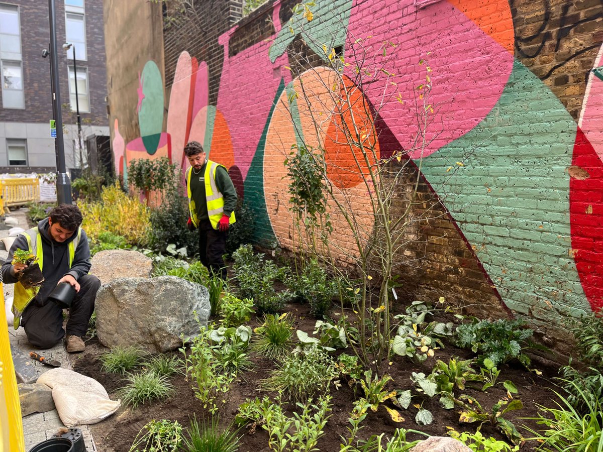 Meristem Design tweet media