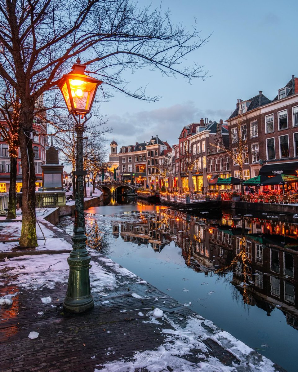 SeascapeNature's tweet photo. Leiden, Netherlands 🇳🇱 https://t.co/tL0yzrdvDD