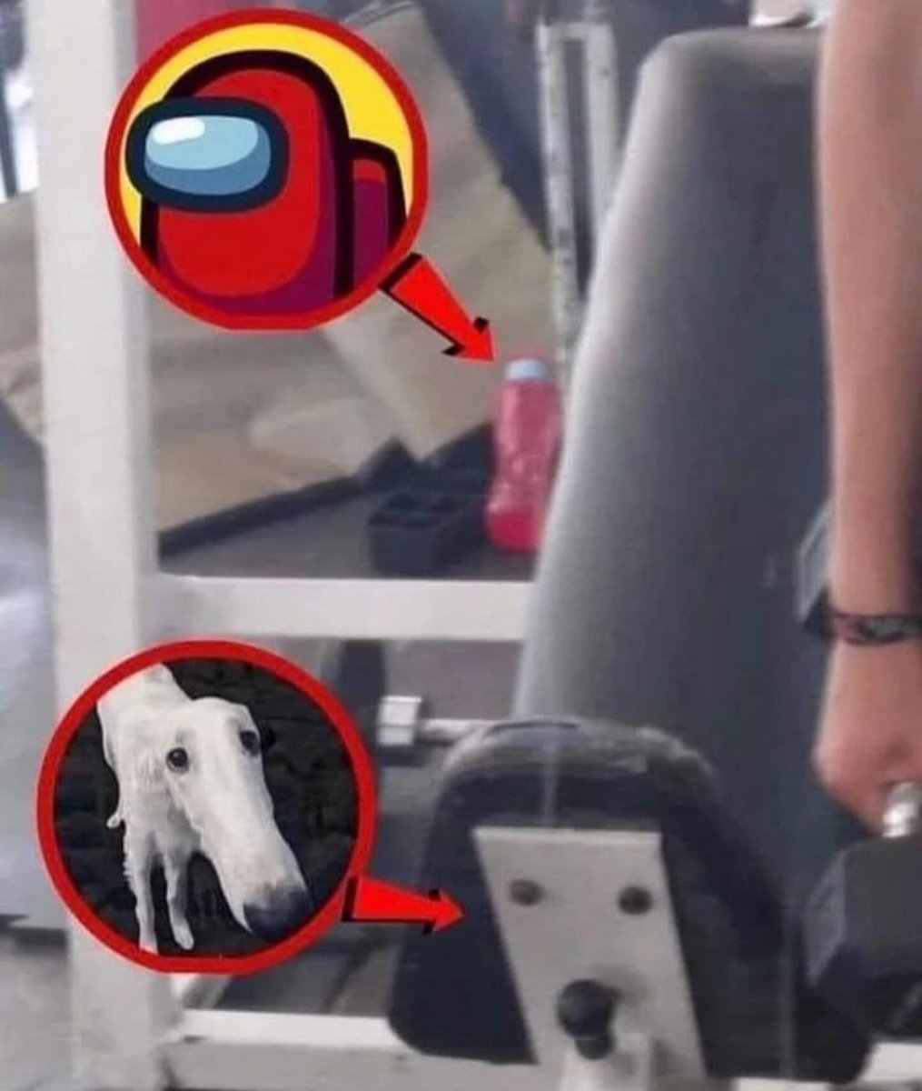 RetrAshado (@retrashado) on Twitter photo 