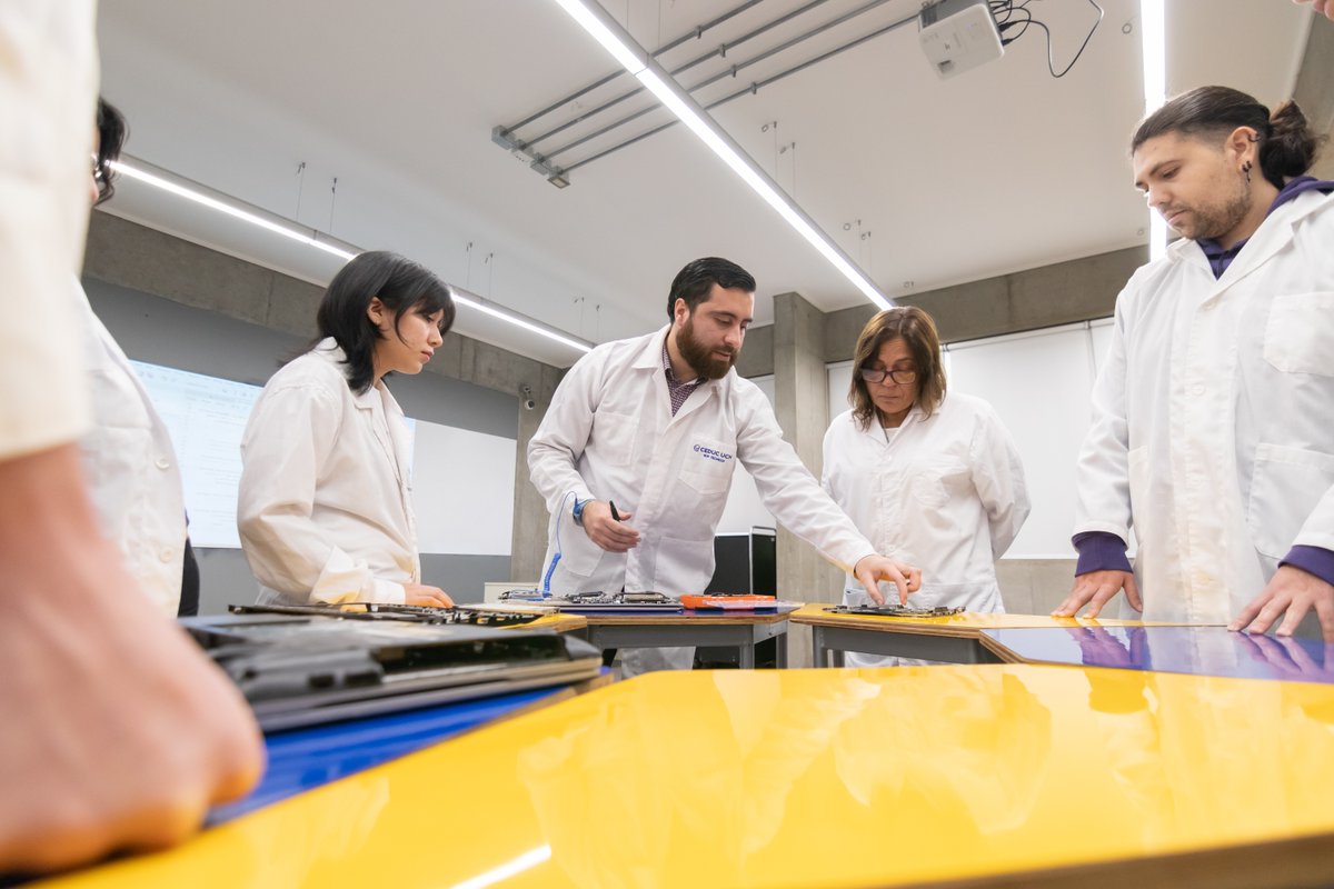 Fundación Ceduc UCN tweet media