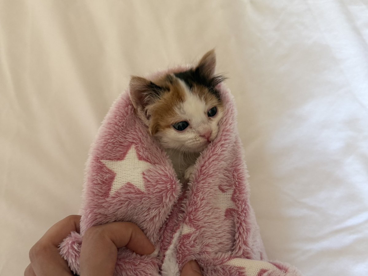 الامومه صعبه لحد يستهين فيها