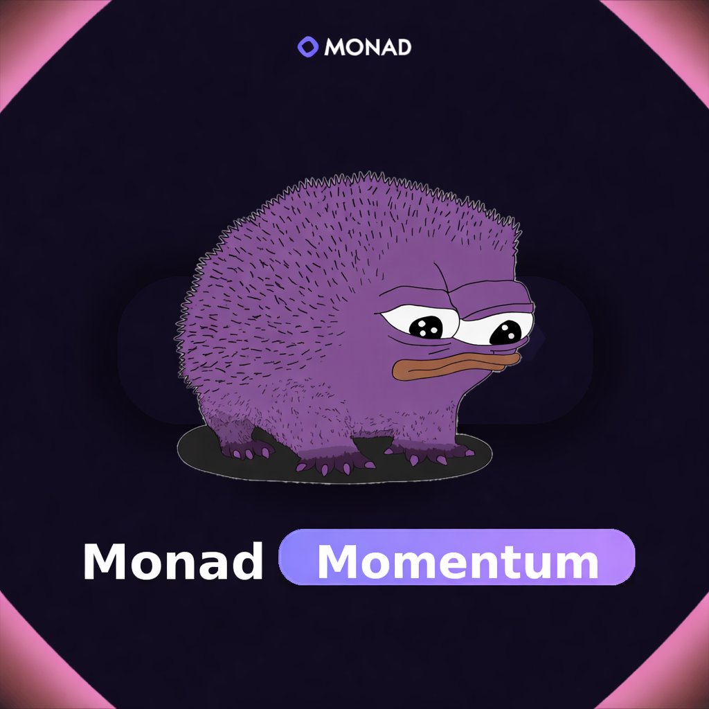 Our Monad Momentum application is pending btw 👀