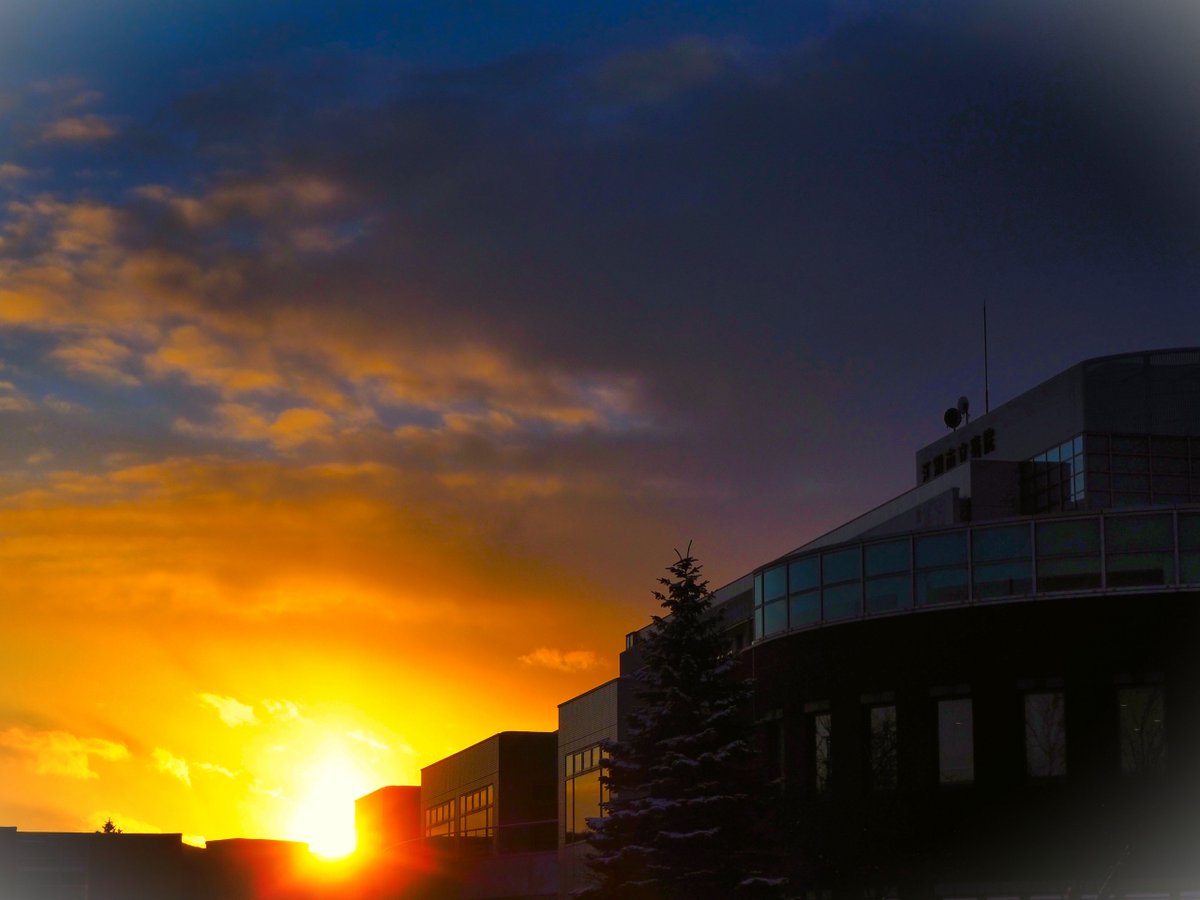 《没しゆく睦月初旬の太陽に僕は祈った世界平和を》

2月が来ると露ウ戦争まる４年。困ったものです。数日前、寒さに震えつつそんなことをマジ思ってました。

さあ、１月９日。おはようございます。まずは除雪の朝😭
なんとか良い一日となりますように(^_-)-☆

#世界平和　#夕焼け　#江別市　#短歌