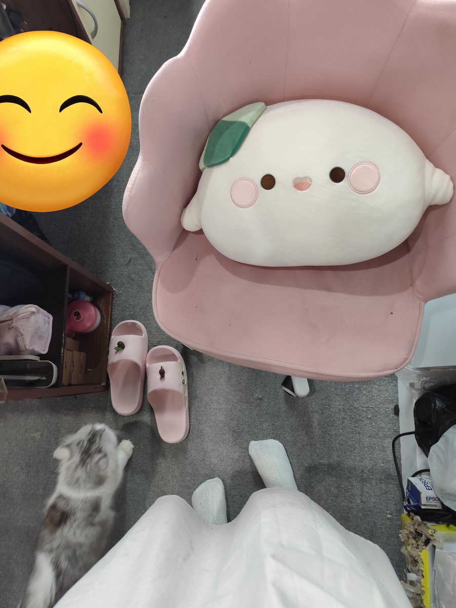 Dressing like a caleb girlie on a daily basis has been my core for the past few months. So many apples and Caleb's everywhere!