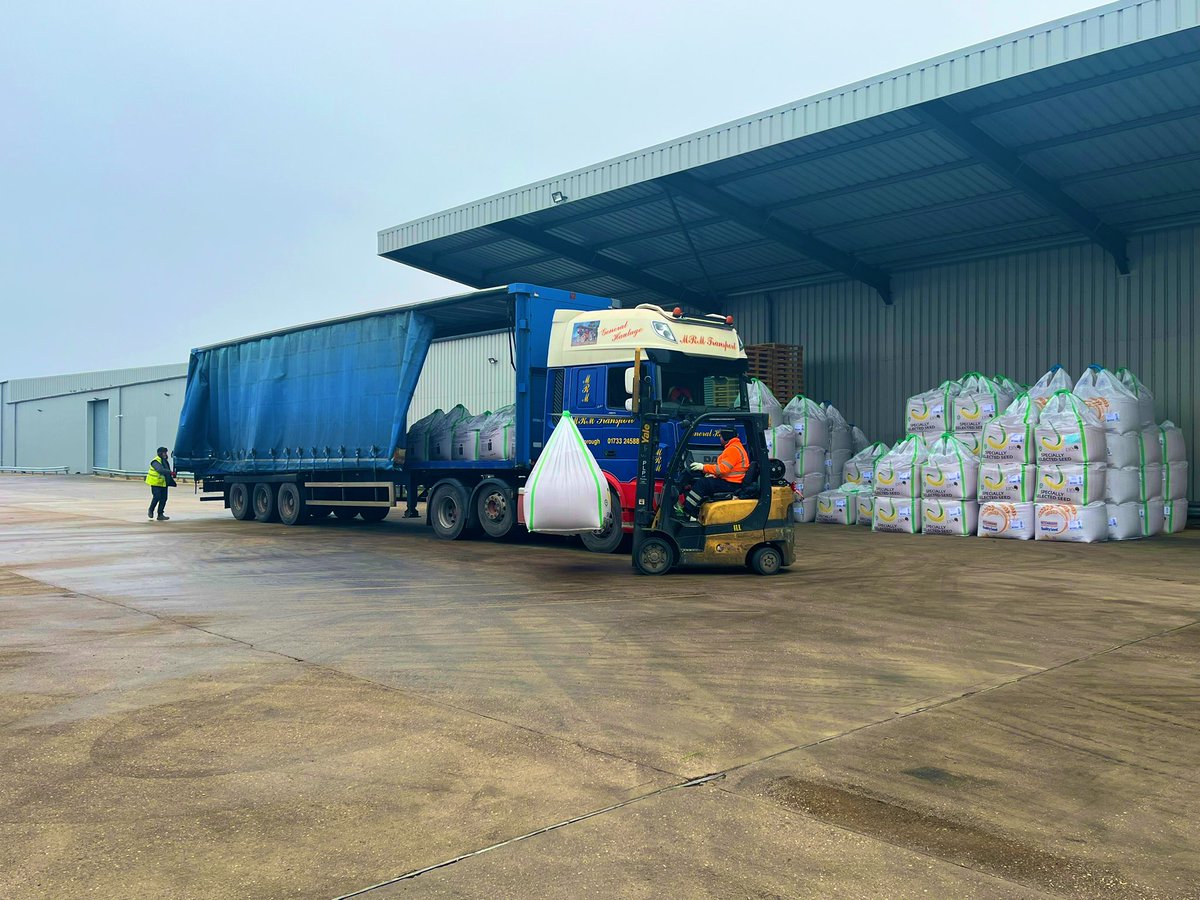 Great to see <a href="/ragtseedsuk/">RAGT Seeds UK</a> acquiring Laureate spring barley this year.  
Even better to see a lorry load of both Laureate and Skyfall milling wheat moving onto farm today for them! 🚜🌾