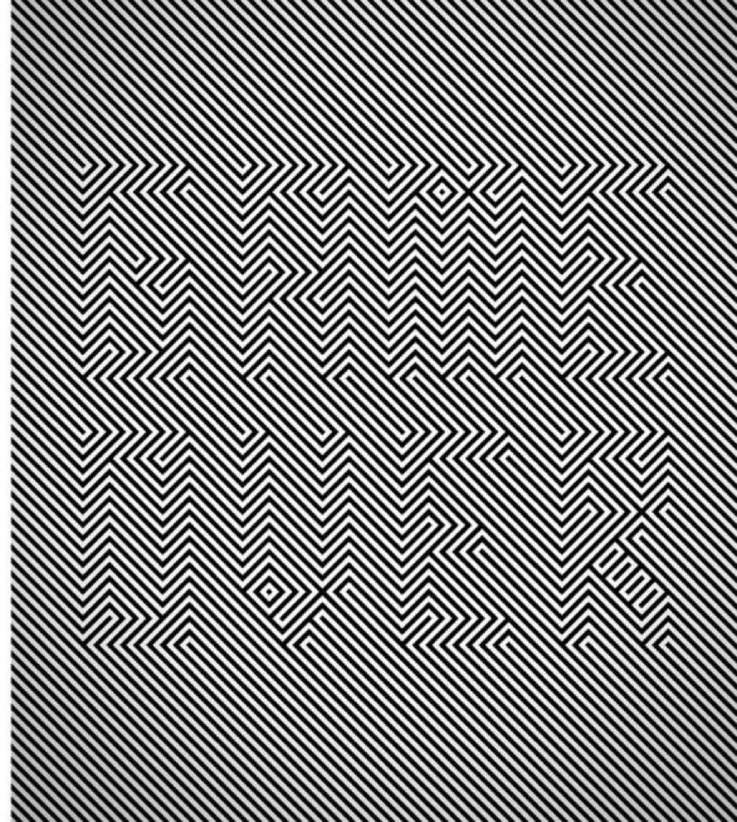 MAGANEWSShapiro's tweet image. I’m tired of everyone arguing about this. 99.99% will fail 

What do you see?