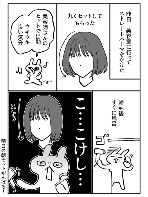 美容院のヘアセットを維持できれば…

#グレうさぎ日記チャレンジ  1163日目 