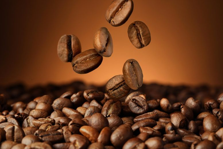 OwenGregorian's tweet photo. Scientists Discover Potent Anti-Diabetic Compounds Hidden in Roasted Coffee | Maximum Academic Press

A new study reveals that roasted coffee contains previously unknown compounds capable of inhibiting a key enzyme linked to blood sugar control.

Scientists have identified three compounds that strongly inhibited α-glucosidase, an enzyme that plays a central role in breaking down carbohydrates during digestion. Because blocking this enzyme can help control post-meal blood sugar spikes, the results point to new possibilities for developing functional food ingredients aimed at managing type 2 diabetes.

Functional foods are valued not only for basic nutrition but also for their ability to deliver biologically active compounds that support health. These compounds can offer antioxidant, neuroprotective, or blood glucose–lowering effects. However, finding them within complex food mixtures is difficult. Conventional extraction and identification techniques are often slow, labor-intensive, and inefficient.

To overcome these limitations, researchers increasingly rely on advanced analytical tools such as nuclear magnetic resonance (NMR) and liquid chromatography–mass spectrometry (LC-MS/MS). These methods make it possible to rapidly pinpoint bioactive molecules, even in chemically rich and diverse foods like roasted coffee.

Exploring Coffee’s Hidden Bioactive Potential

A study published in Beverage Plant Research by Minghua Qiu’s team at the Kunming Institute of Botany, Chinese Academy of Sciences highlights coffee as a promising source of anti-diabetic compounds and broadens scientific insight into its functional components.

The researchers designed a three-step, activity-focused strategy to efficiently uncover bioactive diterpene esters from roasted Coffea arabica beans. Their approach aimed to identify both abundant compounds and those present in trace amounts that inhibit α-glucosidase, while reducing solvent consumption and shortening analysis time.

Stepwise Identification of Bioactive Diterpenes

The researchers began by breaking the complex coffee extract into 19 smaller portions, known as fractions, using silica gel chromatography, a common technique that separates compounds based on how they move through a solid material. Each fraction was then examined using ^1H NMR, a method that reveals information about hydrogen atoms in molecules, and tested to see how well it could block α-glucosidase activity.
To make sense of the large amount of NMR data, the team created a cluster heatmap, a visual tool that groups samples with similar chemical patterns. This analysis highlighted fractions Fr.9 through Fr.13 as the most biologically active. These fractions shared similar hydrogen signal patterns, suggesting they contained related compounds.

A closer look at one representative sample, Fr.9, using ^13C-DEPT NMR, which focuses on carbon atoms in molecules, revealed the presence of an aldehyde group. This result matched what was suggested by the earlier hydrogen-based analysis. The researchers then further purified Fr.9 using semi-preparative HPLC, a technique that separates compounds in liquid form, which led to the isolation of three previously unknown diterpene esters named caffaldehydes A, B, and C.

Potent Enzyme Inhibition and Discovery of Trace Compounds

The structures of these new compounds were confirmed using a combination of 1D and 2D NMR methods and high-resolution mass spectrometry (HRESIMS), which precisely measures molecular mass. While the three molecules shared a similar core structure, they differed in the fatty acid chains attached to them, specifically palmitic, stearic, and arachidic acids.

All three compounds showed moderate ability to inhibit α-glucosidase, with IC₅₀ values of 45.07, 24.40, and 17.50 μM respectively, making them more effective than acarbose, a clinically prescribed antidiabetic drug commonly used to manage type 2 diabetes by slowing carbohydrate digestion through α-glucosidase inhibition.

To find additional bioactive compounds present in extremely small amounts, beyond what NMR or standard HPLC could easily detect, the team used LC-MS/MS, an advanced technique that separates compounds and breaks them into fragments for identification. By analyzing grouped fractions and creating a molecular network with GNPS and Cytoscape, software tools that reveal relationships between similar molecules, the researchers discovered three more previously unknown diterpene esters (compounds 4–6).

These trace compounds were closely related to caffaldehydes A–C and shared similar fragment patterns, but differed in their fatty acid components, which included magaric, octadecenoic, and nonadecanoic acids.

Implications for Functional Foods and Future Research

Their absence in compound databases confirmed their novelty. Together, these findings demonstrate the effectiveness of this integrative dereplication approach in discovering structurally diverse, biologically relevant compounds in complex food matrices like roasted coffee.

This research opens the door to developing new functional food ingredients or nutraceuticals derived from coffee, targeting glucose regulation and potentially aiding in diabetes management.
More broadly, the dereplication strategy introduced here—using minimal solvent and advanced spectral analysis—can be adapted for rapid screening of bioactive metabolites in other complex food matrices. Future work will explore the biological activity of the newly identified trace diterpenes and assess their safety and efficacy in vivo.

https://t.co/iCwMf4u21X