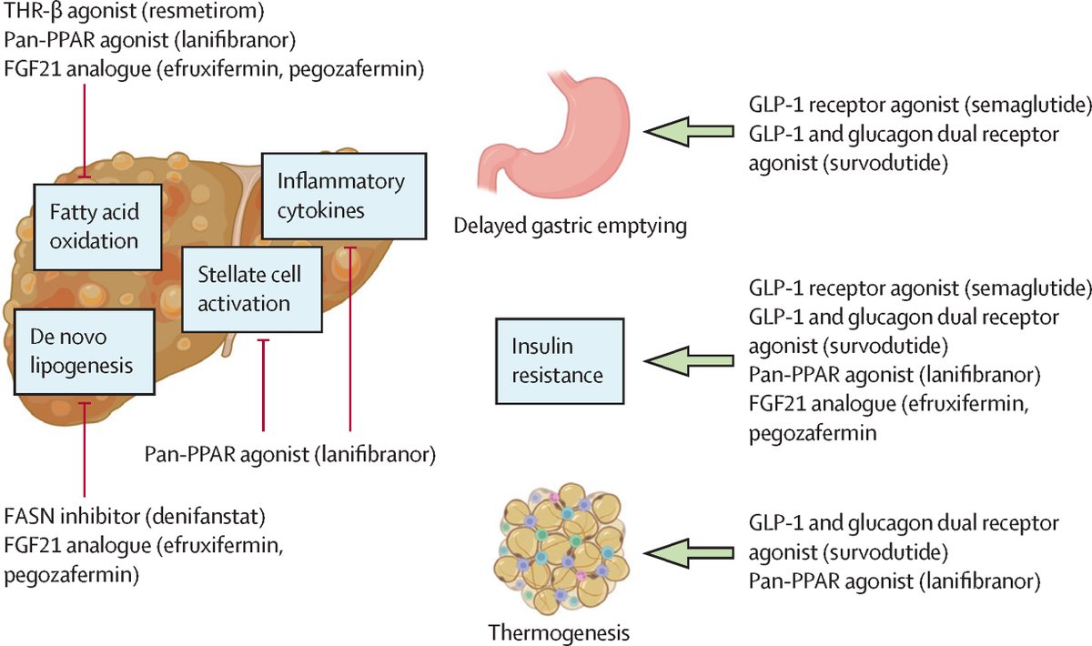 The Lancet tweet media