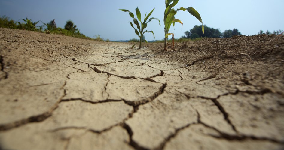 Campo Unido por la situación hídrica del país

Las gremiales del campo nos reuniremos con el <a href="/MGAPUruguay/">MGAP</a> este viernes para afrontar el déficit hídrico que vive el sur de nuestro país.