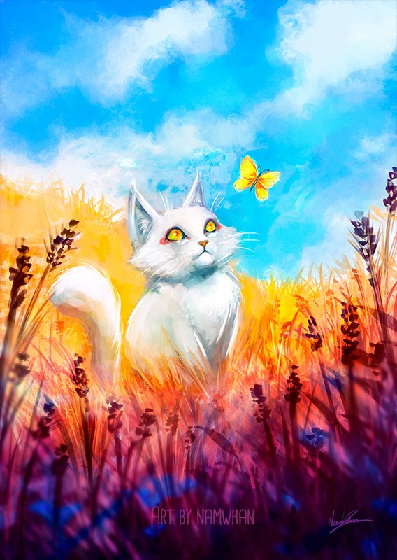 Namwhan 🌼 tweet media