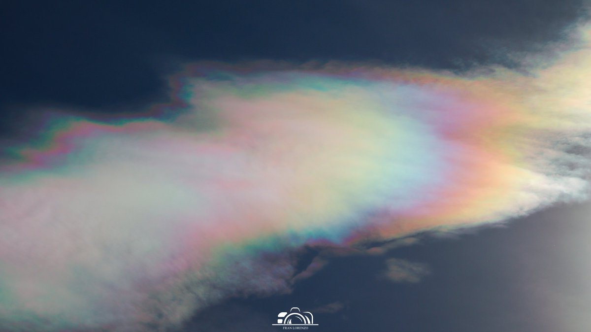 Fran Lorenzo tweet media