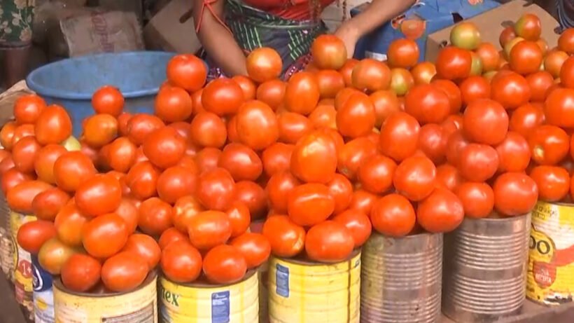 opaisonline's tweet image. Sociedade
Preços de produtos frescos disparam em Chimoio
#precosdeprodutos #chimoio #opaisonline #opai #gruposoico
opais.co.mz/precos-de-prod…