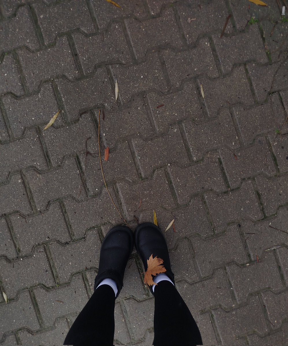 Eso (@esolandin) on Twitter photo 