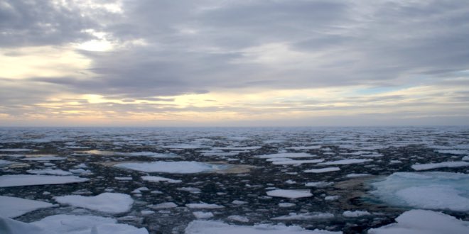 wildAKpollock's tweet photo. Early morning check-in from the Bering Sea: water’s cold, currents are moving, life is good. #AlaskaPollock https://t.co/LihIC3Y2L1