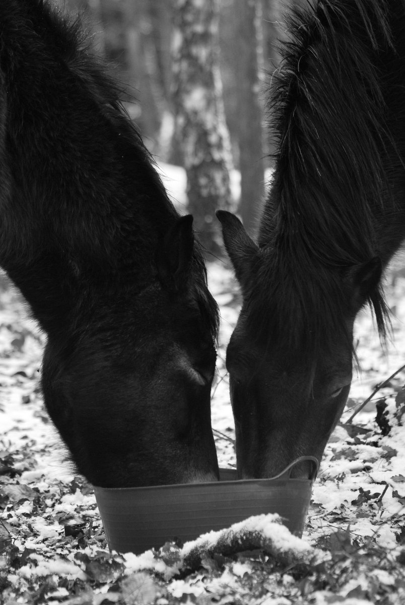 Adrian Wallington tweet media