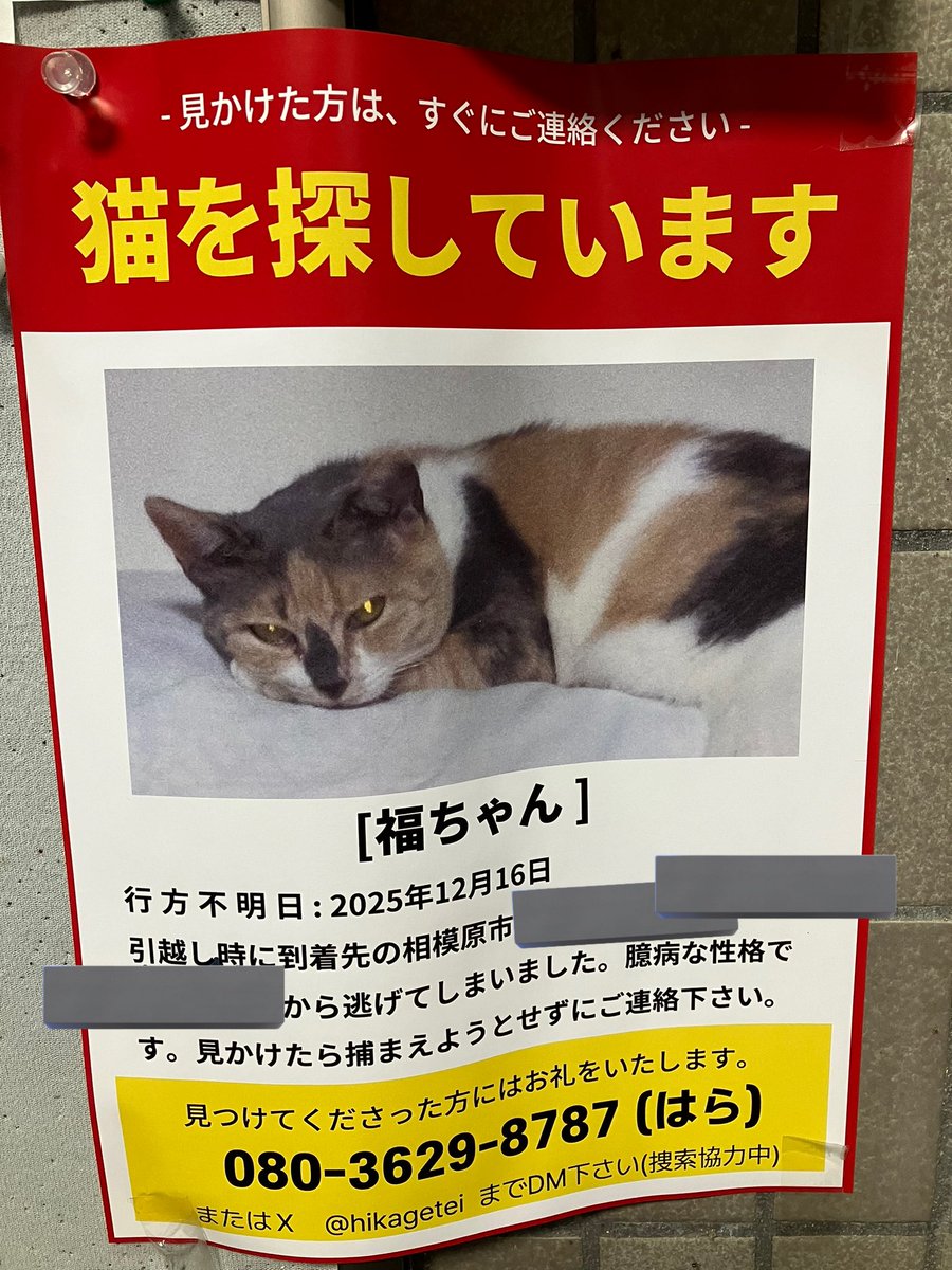 まるで永遠に続く仕事、食事、睡眠、そしてまた仕事の繰り返しで、死ぬまでこのサイクルを続けることを期待されているような気がするんだよね。これが僕の最新のアート作品で、「CORPORATE  ZOO」って呼んでる。(OC) : r/collapse, image size:900x1200
