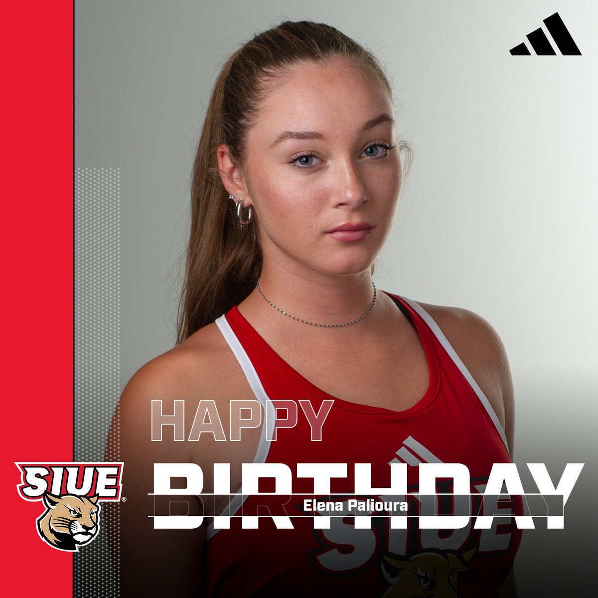 Happy Birthday, Elena! Hope you have an amazing day! ROLL COUGS!🐾