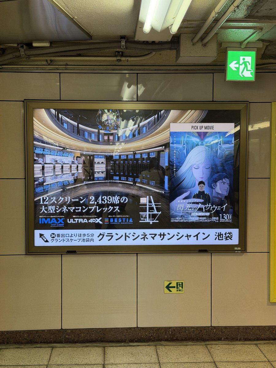 よっくん (@yoshi115t) / Posts / X