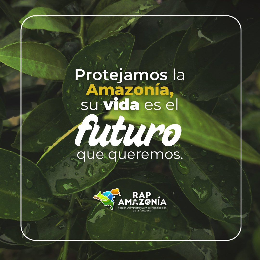 Protejamos la #Amazonía 🌿, un territorio que nos brinda vida, #equilibrio y esperanza, y cuyo cuidado hoy garantiza bienestar para nuestras próximas generaciones.

#SomosRAPAmazonía