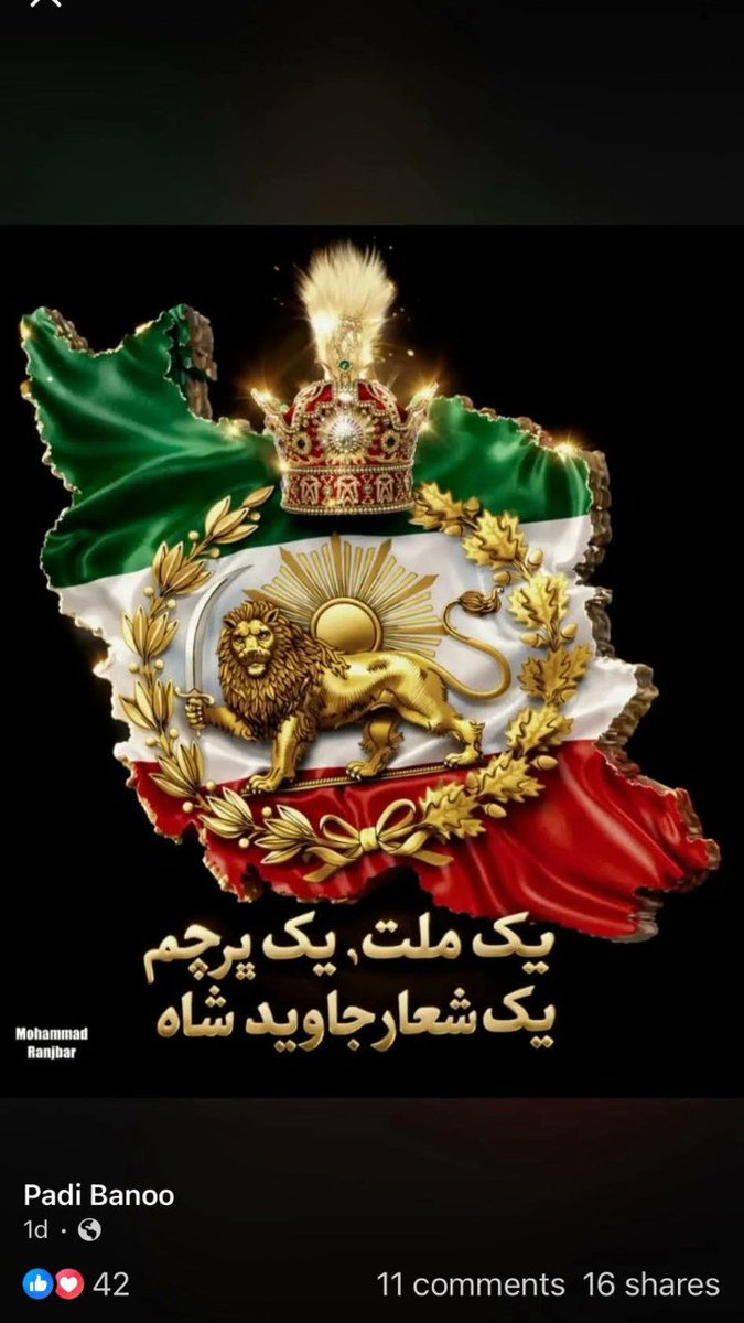 shayan tweet media