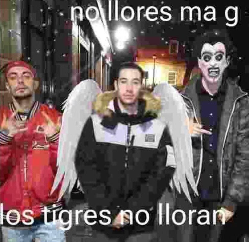 camel23fumar's tweet image. 