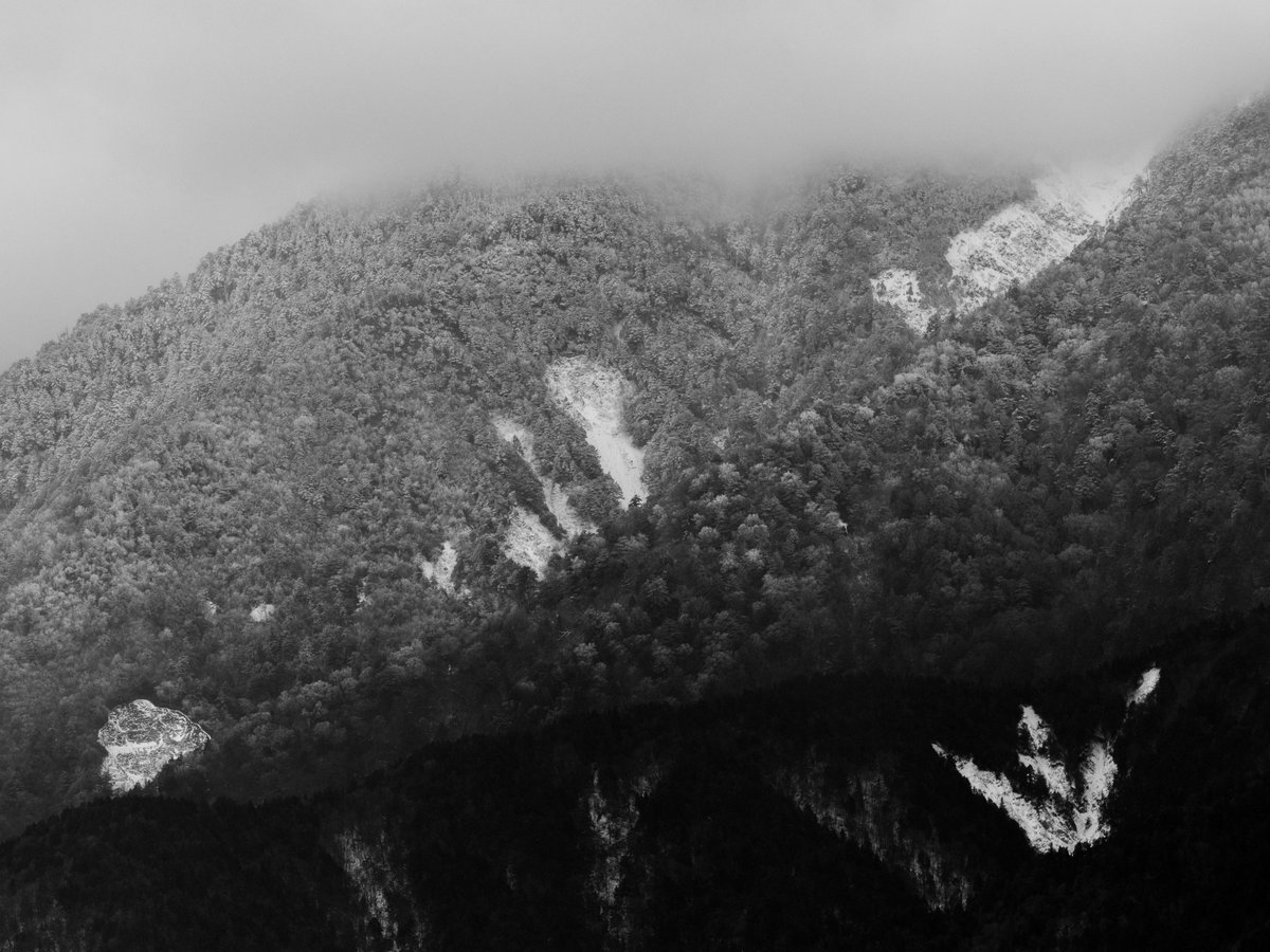 MisakaZoo (@MisakaZoo) / Posts / X