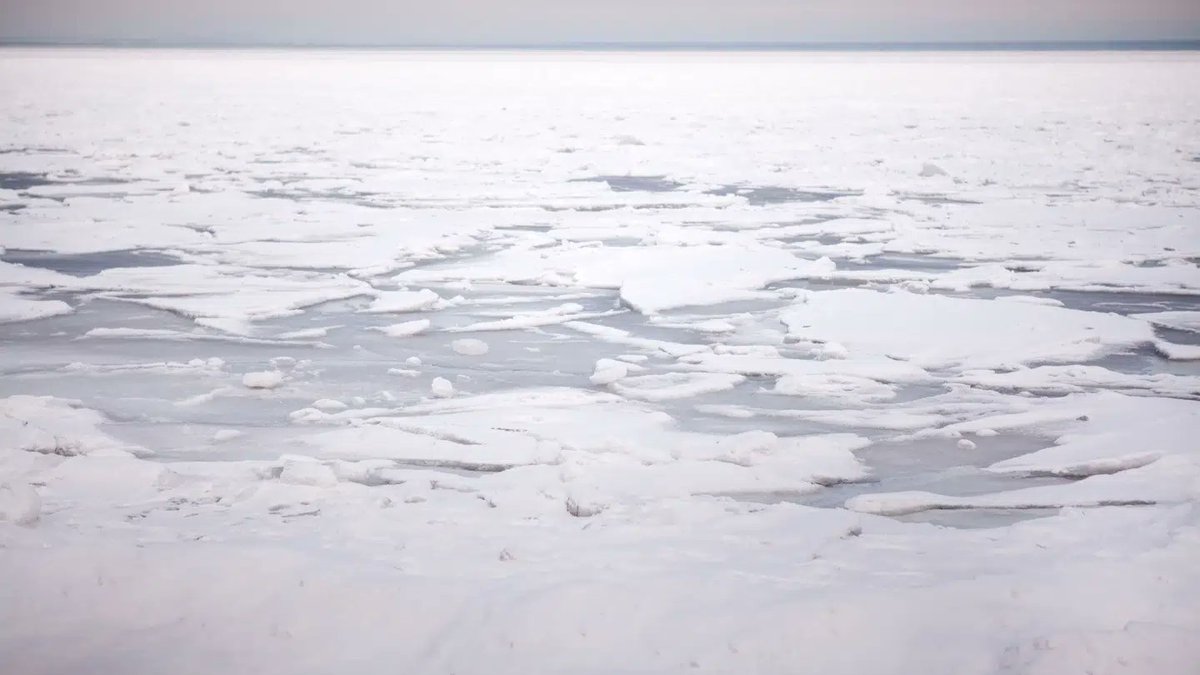 Politiet advarer: 'Vi har fået flere opkald' bt.dk/krimi/politiet…