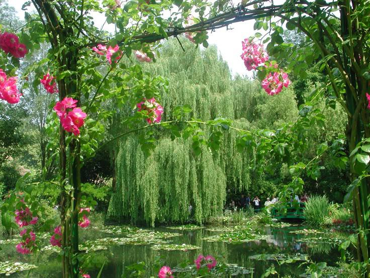 artindetails's tweet image. a quiet little world.