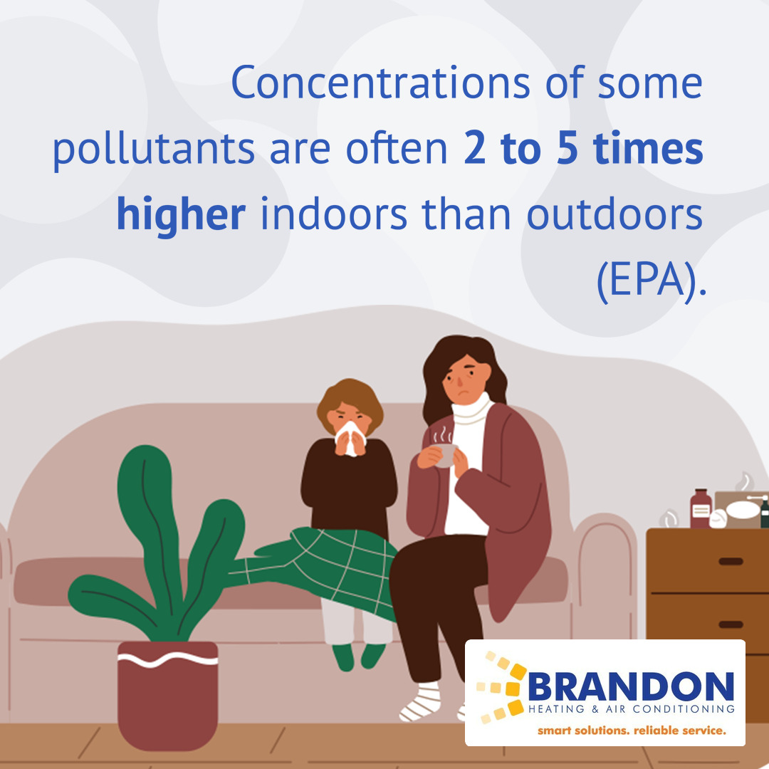 BrandonHeating's tweet image. Indoor air quality is an important factor when it comes to your health and the health of your loved ones. Let's make sure that you can breathe easy in your own home. Give us a call! #indoorairquality #IAQ

Visit our website at brandonheating.com
