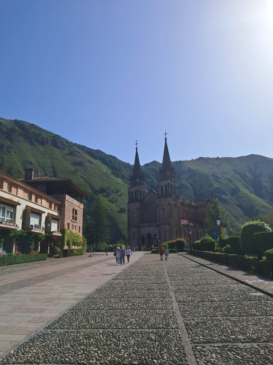 Caesar_is's tweet image. Hiii cute furs come visit me please 👉👈