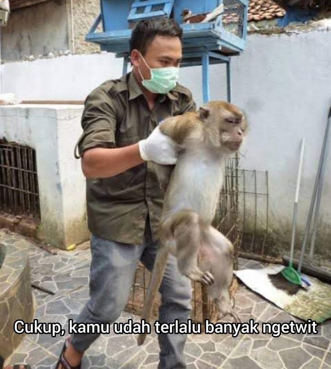 Satu lagi, nih, kelakuan pendukung Gibran. 

Ngatain gobvlok, tapi bikin pernyataan, “Makanya Prabowo itu presiden paling damai dalam sejarah Indonesia”, padahal baru setahun menjabat udah di demo beberapa kali.
 
Kurang gerah apa lagi coba 😂