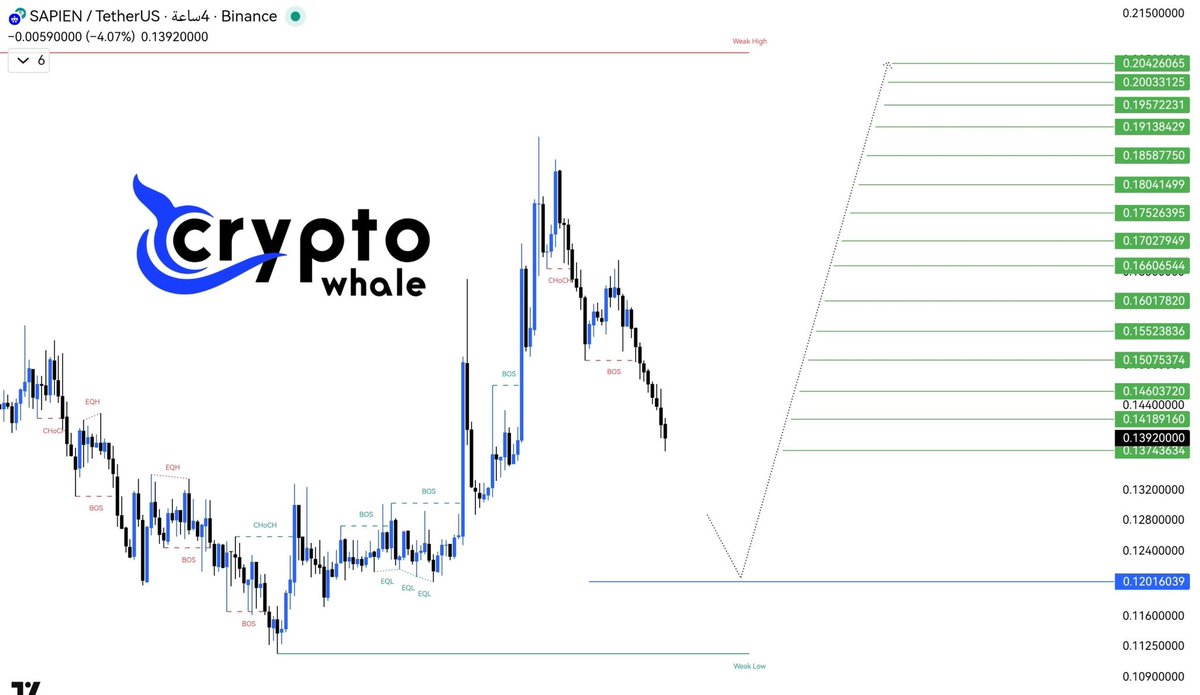 cryptowhalepro1's tweet image. #SAPIEN/USDT

ضع أوردر الشراء عند 0.120160

الأهداف موضحة بالـ CHART