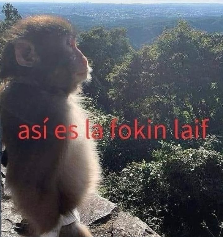 𓂃˖˳·˖ ִֶָ ⋆𝓫𝓮𝓴𝓪𝓪⋆ ִֶָ˖·˳˖𓂃 ִֶָ (@b3k4thh) on Twitter photo 