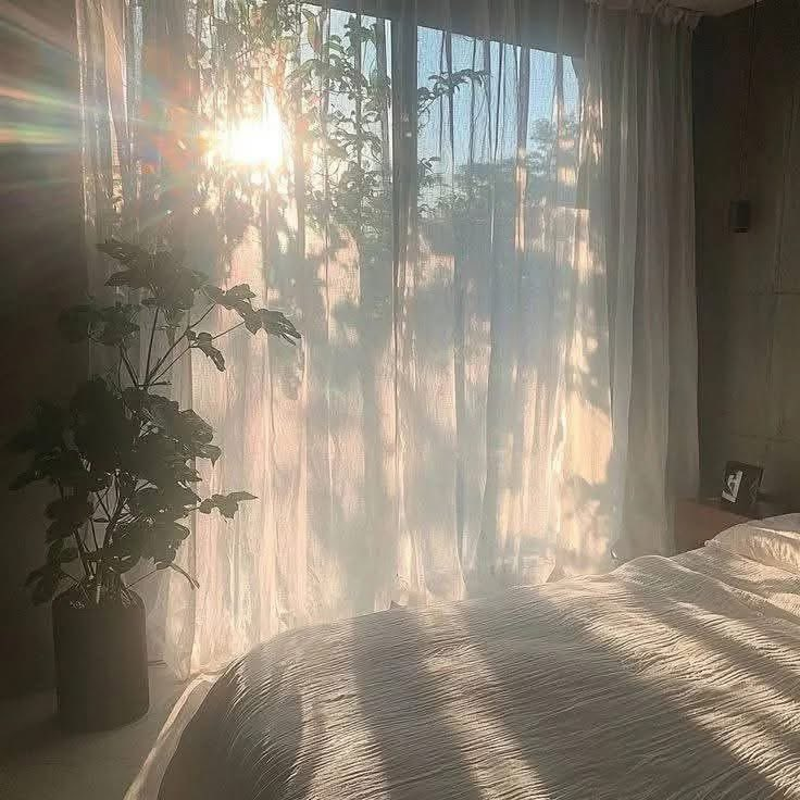 artindetails's tweet image. favorite time of the day.