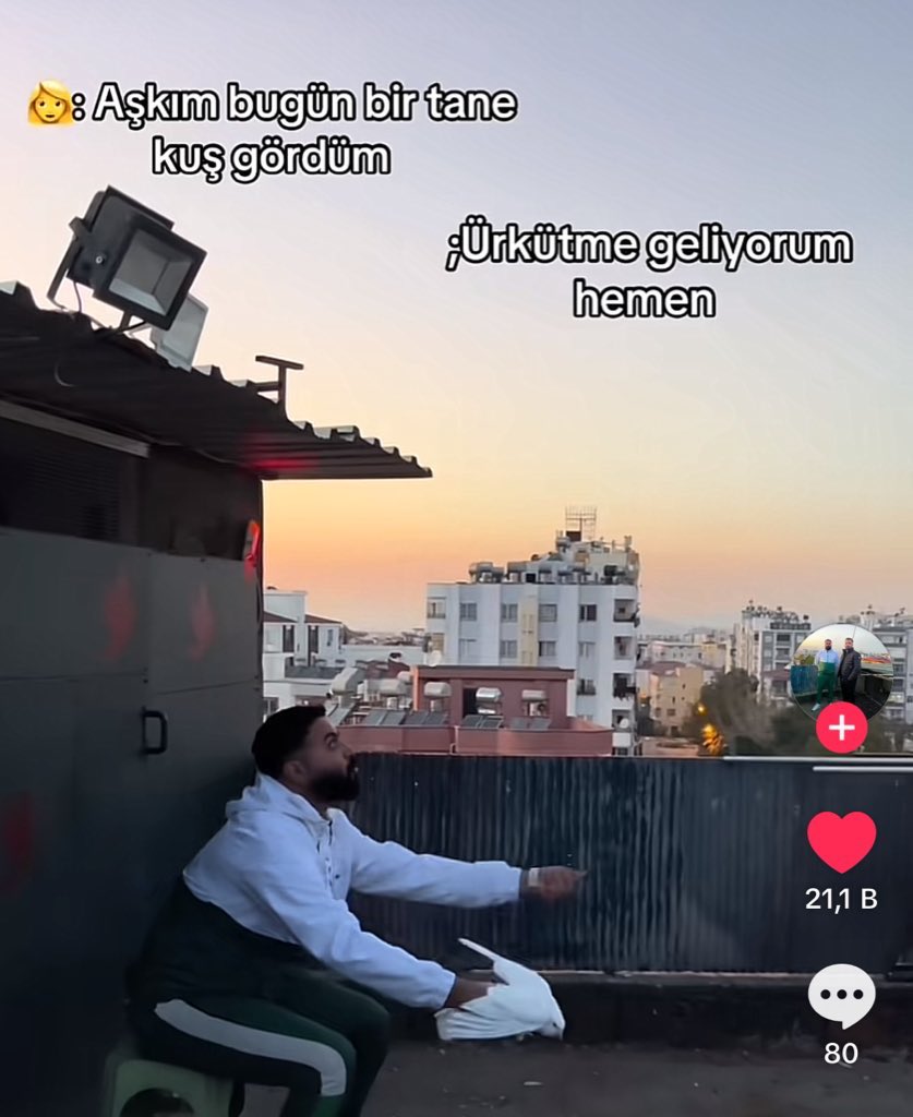 mortingenschtrauze (@duygudolu32) on Twitter photo 