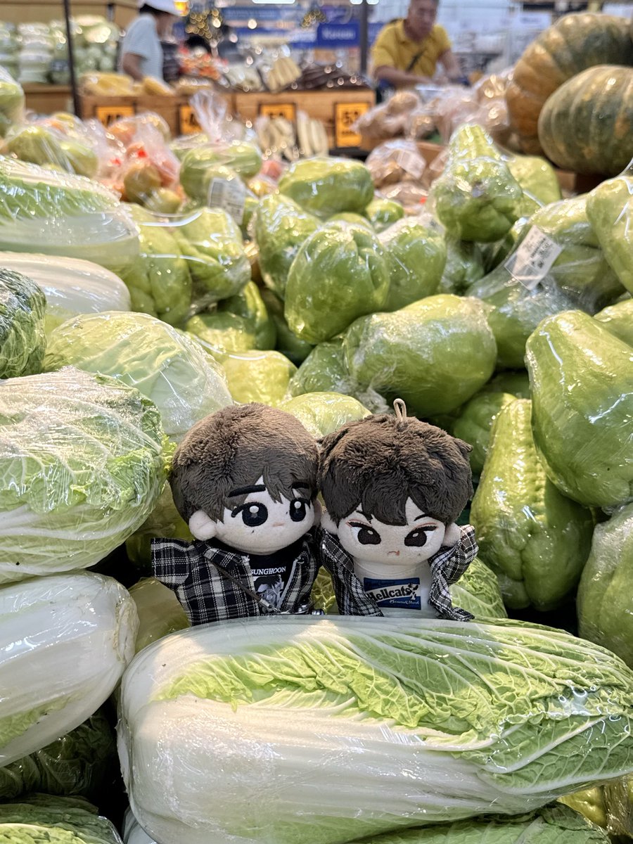 itsmekkdd's tweet image. healthy relationship 🥬