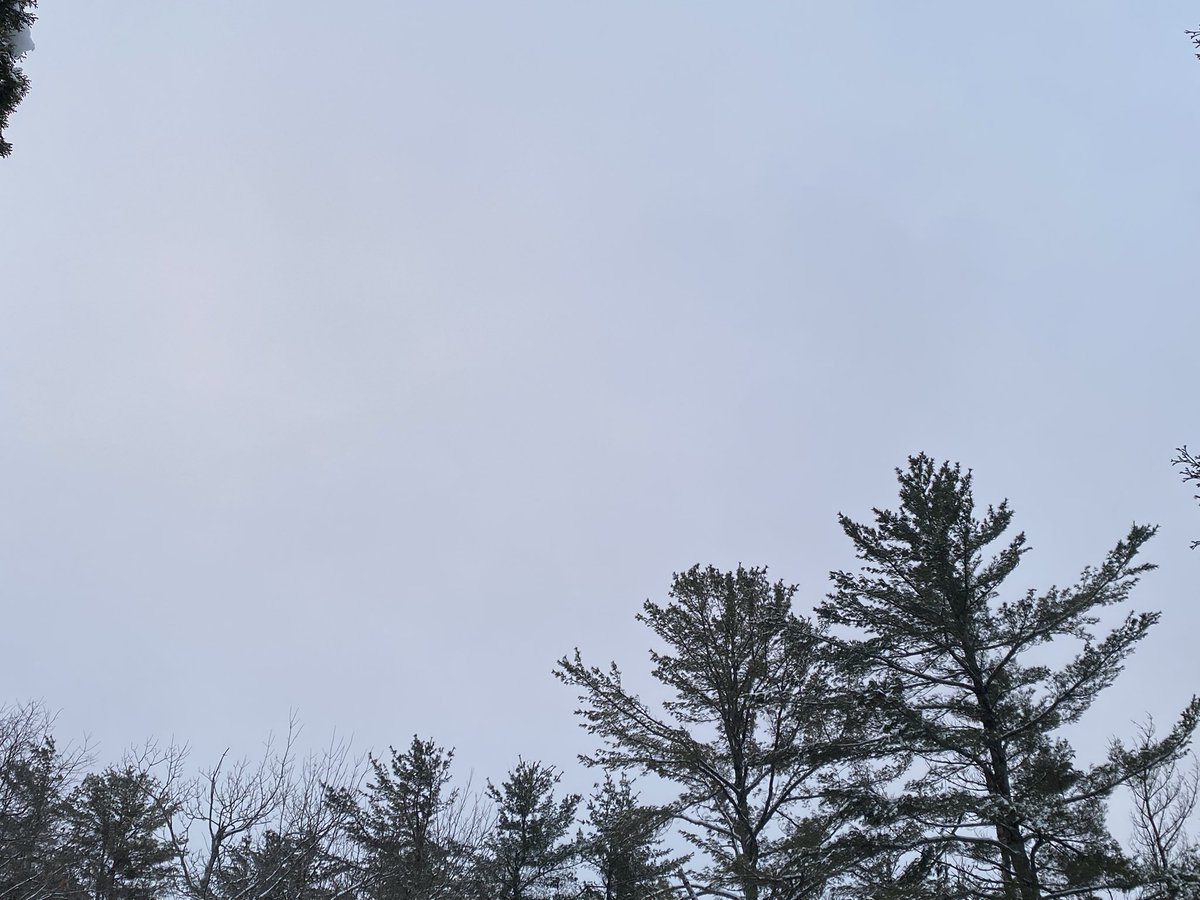 GollieVog's tweet image. For WEEKS… this is how our skies look…. Not normal. Parasites are really at it. Or is this desperation?!? #WeatherModification #GeoEngineering #WeatherWarfare