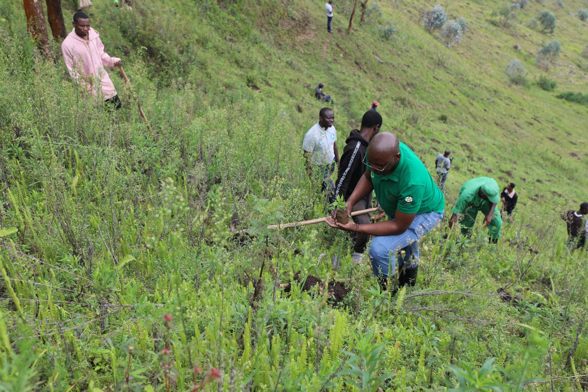 Rwanda Rural Rehabilitation Initiative, RWARRI tweet media