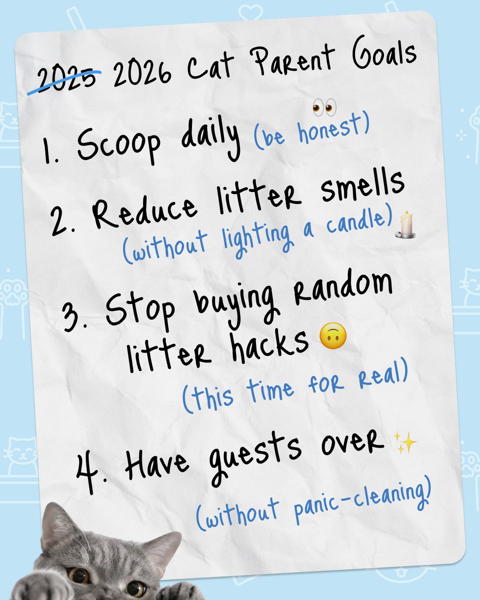 HelloBoxiecat's tweet image. What are your cat parent goals for 2026? 😼