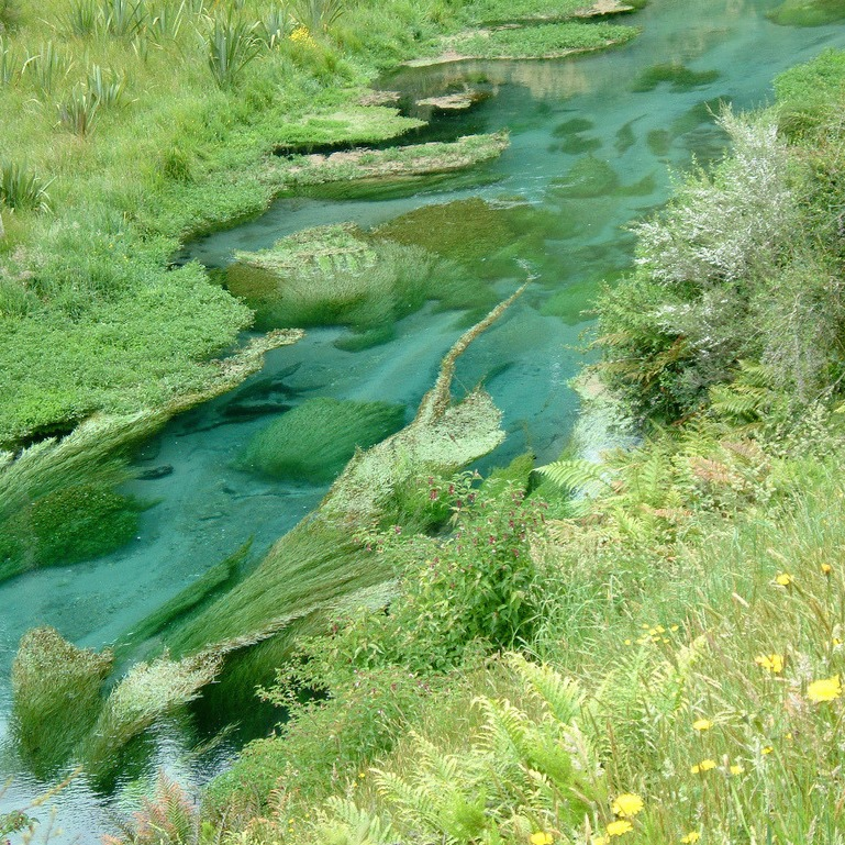 artindetails's tweet image. nature dressed in blue and green.