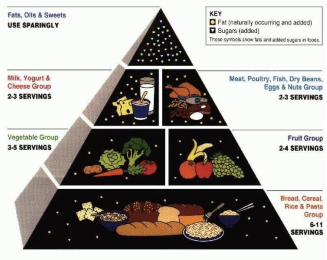 Marjori Haddad tweet media