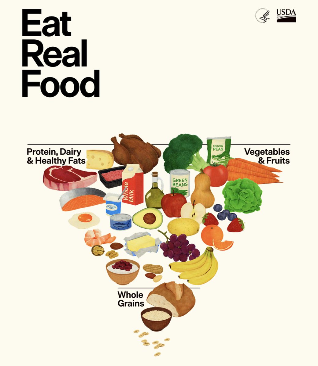 Marjori Haddad tweet media