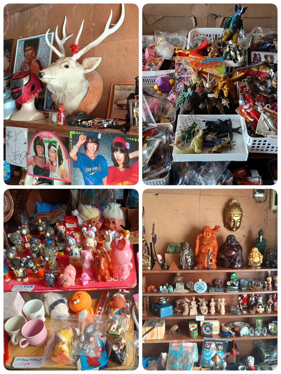 コイン 枝 飾り (99) 사진