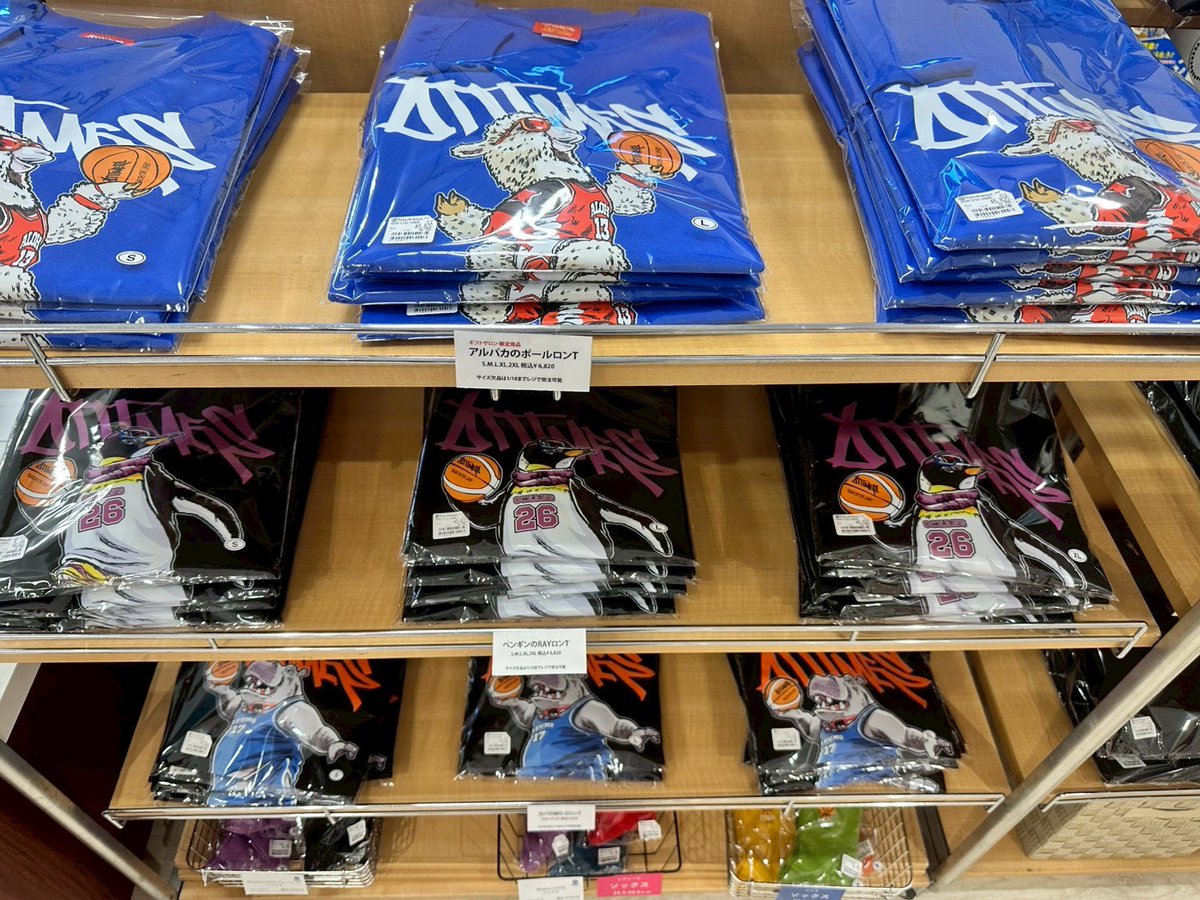 あまり知られてませんがアルパカのポールの出身地は島根です😎