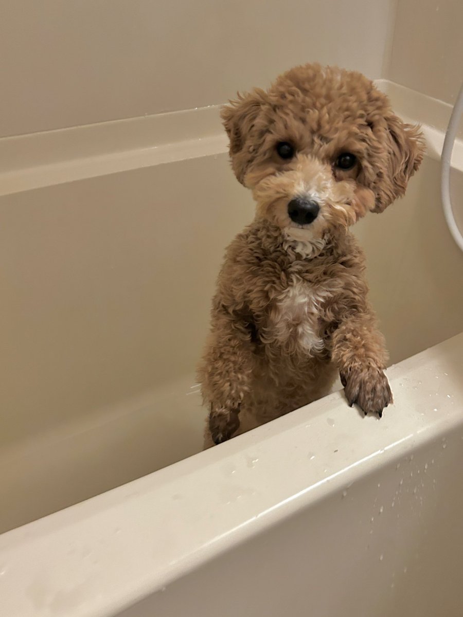 tempura24modoki's tweet image. 足湯しました　セクシーショット